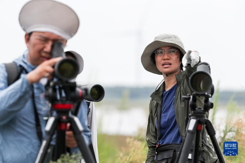 李逵捕鱼游戏下载